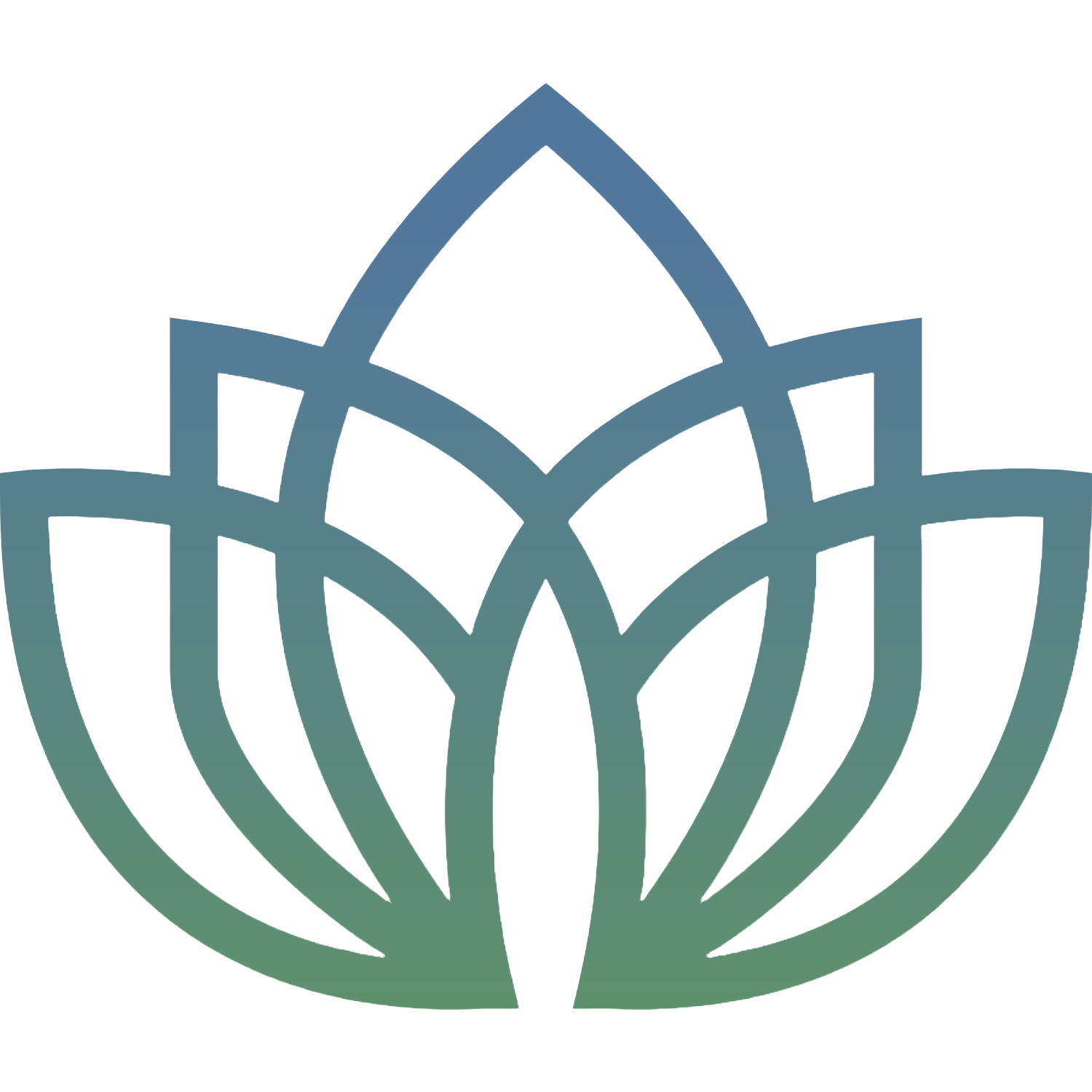 IB Design | Web Design Agency